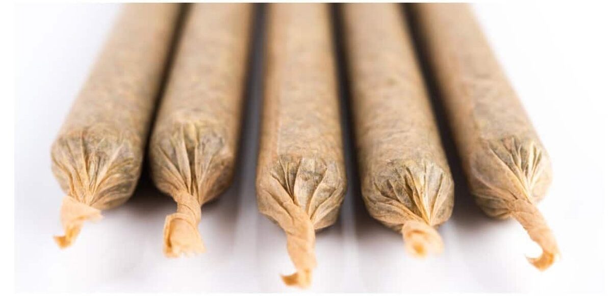 pre-rolls lined neatly