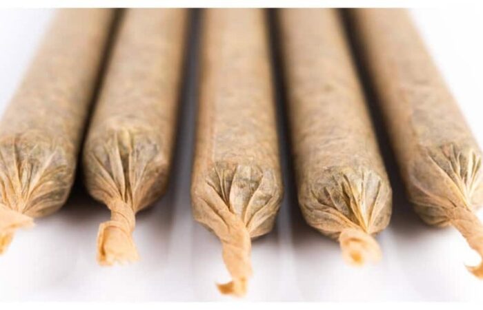 pre-rolls lined neatly