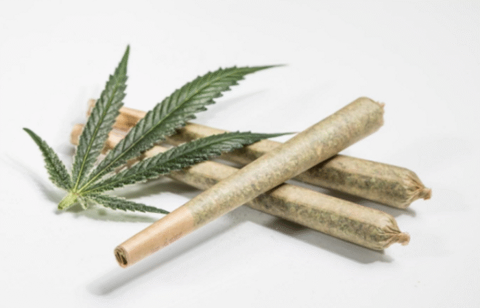 Premium cannabis pre-rolls neatly arranged on a natural surface, showcasing thin rolling papers, uniform shape, and vibrant green cannabis flower in the background.