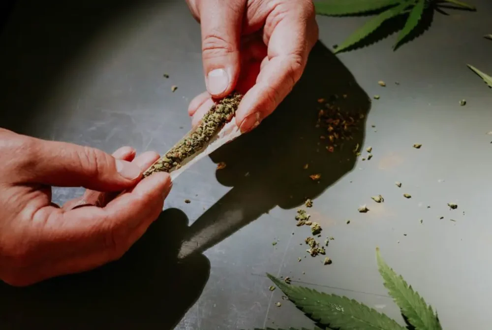 Hands rolling a joint on a flat surface