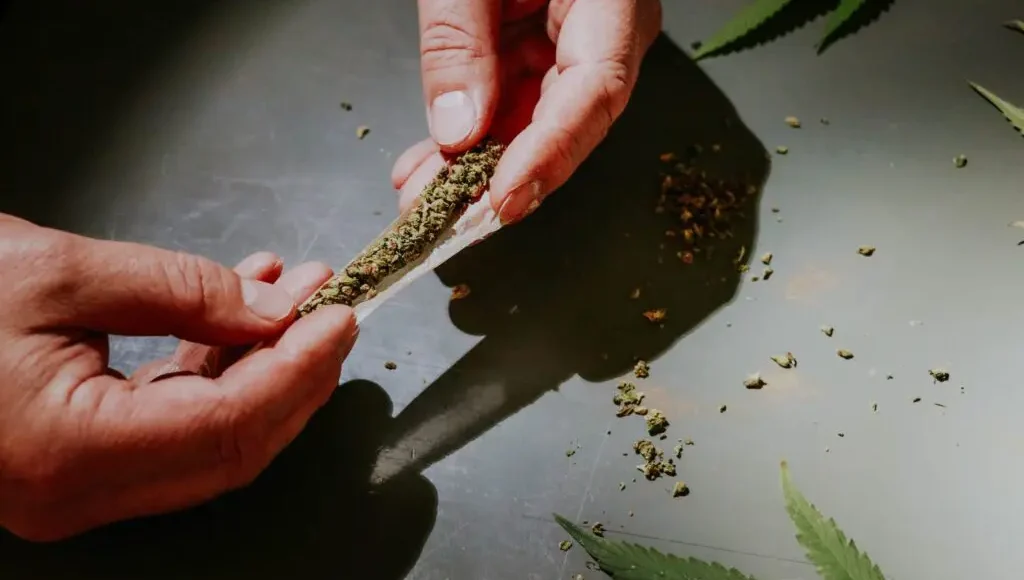 Hands rolling a joint on a flat surface